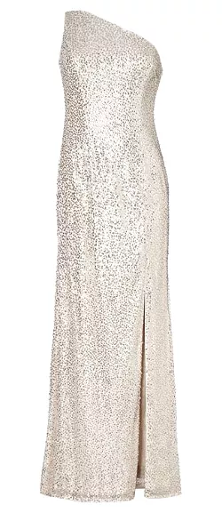 Silver Sequin Mermaid Gown